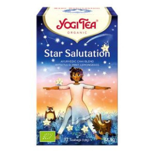 Yogi Tea Star Salutation 17 filtros